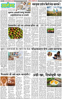 8 February-20253 copy