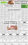 15 January-20253 copy
