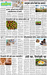 8 February-20253 copy