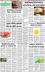 17 March-20253 copy