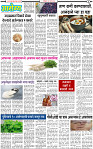 31 March-20253 copy