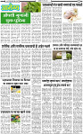 15 May-20253 copy