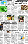 28 August-20253 copy