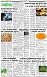 30 November-20253 copy
