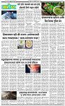 25 January-20263 copy