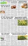 16 March-20263 copy
