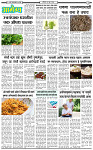 13 June-20263 copy